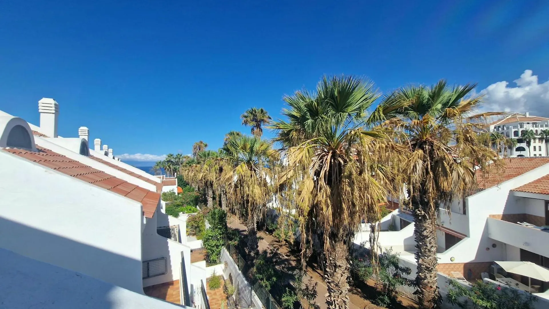 Apartamento Parque Santiago 1 F-312 By Tenerife Dream Properties Playa de las Américas España